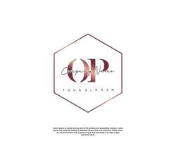 Initial letter OP Feminine logo beauty monogram and elegant logo design, handwriting logo of initial signature, wedding, fashion, floral and botanical with creative template vector