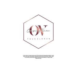 Initial letter OV Feminine logo beauty monogram and elegant logo design, handwriting logo of initial signature, wedding, fashion, floral and botanical with creative template vector