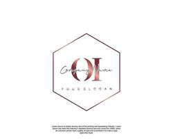 Initial letter OI Feminine logo beauty monogram and elegant logo design, handwriting logo of initial signature, wedding, fashion, floral and botanical with creative template vector