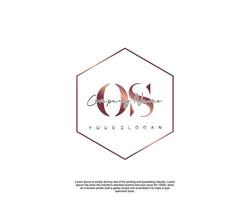 Initial letter OS Feminine logo beauty monogram and elegant logo design, handwriting logo of initial signature, wedding, fashion, floral and botanical with creative template vector
