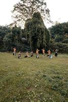 A Group of Asian people with golden dance costumes pose on the green grass in front of the jungle photo