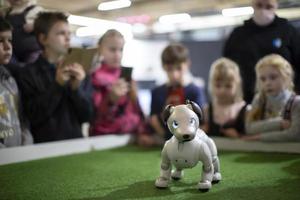Belarus, city of Gomel, January 11, 2022. Robot Festival. Robot dog on the background of children. photo