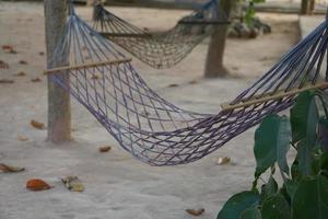 Hammock hanging from a tree for sleeping photo