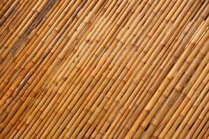 Background of bamboo stalks lined up as a wall photo