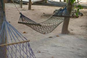 Hammock hanging from a tree for sleeping photo