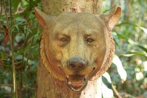 la cabeza de un lobo réplica está unida a un árbol. foto