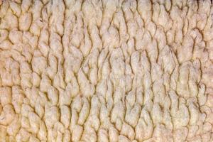 Light brown shaggy fabric. Abstract background of plush faux fur fleece surface close-up. photo