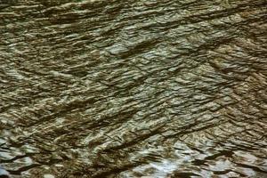 River water background with waves and ripples. Nitra river in Slovakia. photo