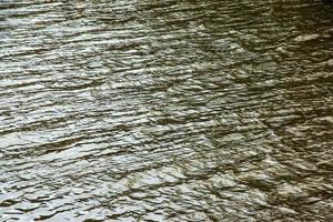 River water background with waves and ripples. Nitra river in Slovakia. photo