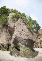 Hopewell Rocks Park Beach durante la marea baja foto