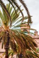 Beautiful view of the Cathedral Santa Ana Vegueta in Las Palmas photo