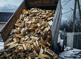 the car unloads chopped firewood from the body photo