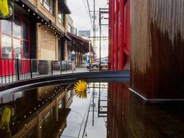 Yellow daisy floating in water with red reflection and lights strung overhead photo