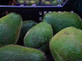 Fresh organic prickly chayote squash photo