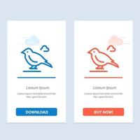 Bird British Small Sparrow  Blue and Red Download and Buy Now web Widget Card Template vector