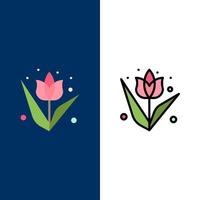 decoración pascua flor planta iconos plano y línea llena icono conjunto vector fondo azul