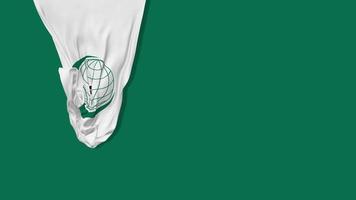 The Organization of Islamic Cooperation, OIC Hanging Fabric Flag Waving in Wind 3D Rendering, Chroma Key, Luma Matte Selection of Flag video