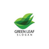 Green leaf logo vector