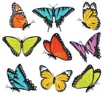 conjunto, de, colorido, mariposas, vector, ilustración vector