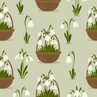 Seamless pattern Snowdrops flower on spring green background. Spring flowers in a basket. Print for your design. Vector Illustration.