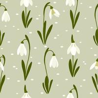 Seamless pattern Snowdrops flower on spring green background. Print for your design. Vector Illustration.