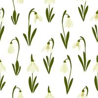 Seamless pattern Snowdrops flower on spring white background. Print for your design. Vector Illustration.