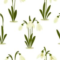 Seamless pattern Snowdrops flower on spring white background. Print for your design. Vector Illustration.