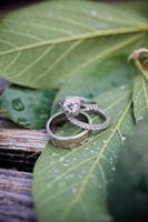 Wedding rings and bands photo