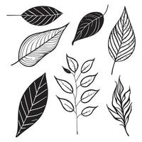 set of leaves black outline texture vector, leaf outline illustration vector