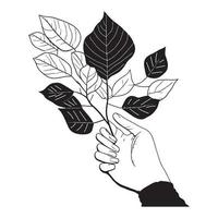 leaves in hand black outline texture vector, leaf and hand outline illustration vector