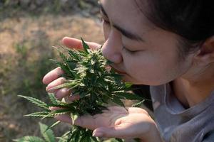 mujer asiática oliendo flor de marihuana en la plantación de cannabis foto