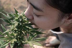 mujer asiática oliendo flor de marihuana en la plantación de cannabis foto