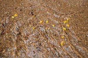 Pure gold nugget ore found in mine with natural water sources photo