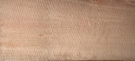 Maple wood has tiger stripe or curly stripe grain photo
