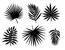 vectores de hojas de palma vector libre