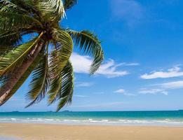 Landscape summer panorama front view tropical palm and coconut trees sea beach blue white sand sky background calm Nature ocean Beautiful  wave water travel Bangsaen Beach East thailand Chonburi photo