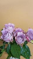 Bouquet of roses on a light background. Mother's Day, Women's Day, Valentine's Day or Birthday. photo