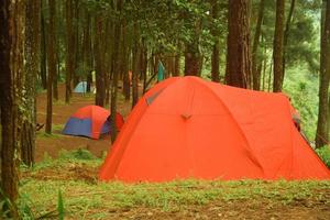camping in the forest, tent in the camping ground photography photo