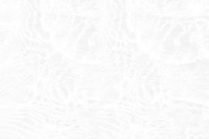 Defocus blurred transparent white colored clear calm water surface texture with splashes and bubbles. Trendy abstract nature background. Water waves in sunlight with copy space. White water shine photo