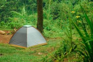 tent in the forest with green grass photo