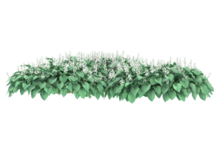 Realistic foliage isolated on transparent background. 3d rendering - illustration png