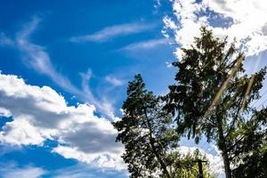 Beautiful horizon scenery in village meadow on color natural background photo