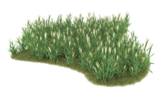 Realistic foliage isolated on transparent background. 3d rendering - illustration png