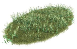 Realistic foliage isolated on transparent background. 3d rendering - illustration png