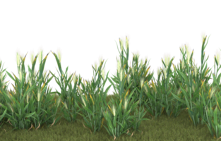 Realistic foliage isolated on transparent background. 3d rendering - illustration png