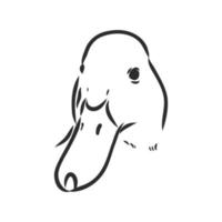 duck vector sketch