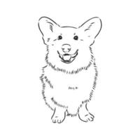 dibujo vectorial de perro corgi vector