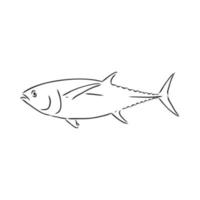 dibujo vectorial de pescado vector