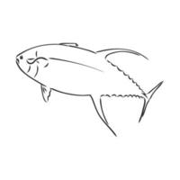 dibujo vectorial de pescado vector