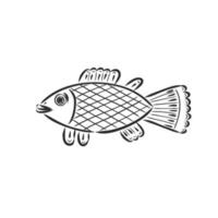 fish vector sketch